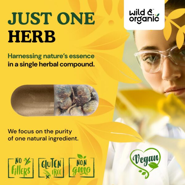 Maca negra apoyo bienestar diario.