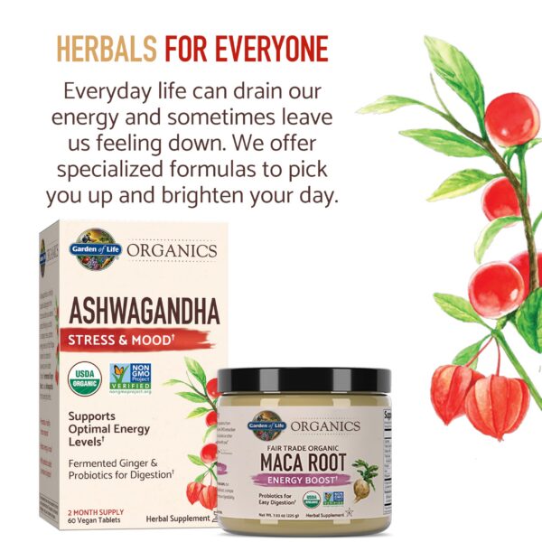 Version 1.0.0 Maca Peruana Orgánica Certificada con Probióticos