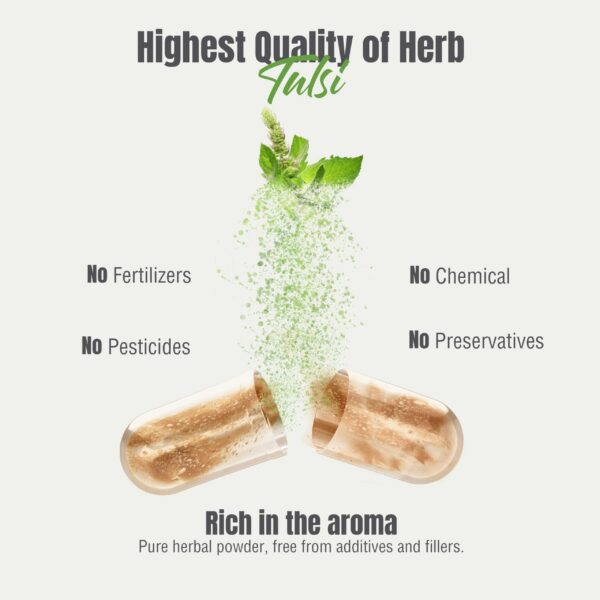 Version 1.0.0 Manufactura GMP cápsulas Tulsi Herbsforever