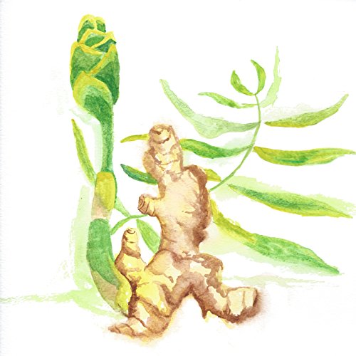 Cápsulas Maui Medicinal Herbs jengibre raíz seca orgánico Hawaii