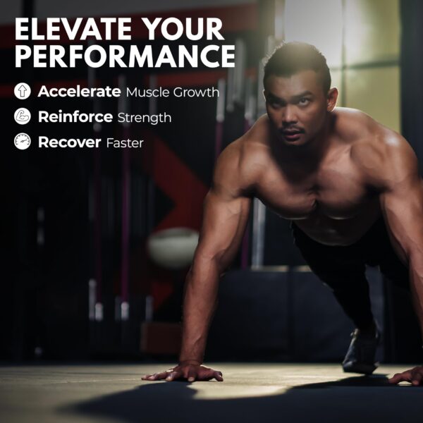 Version 1.0.0 Detalle de tapa y sello de seguridad