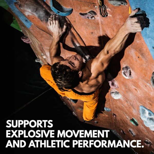 Version 1.0.0 Tabla de información de porciones