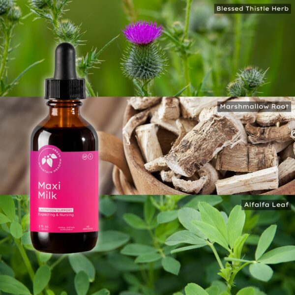 Máxima producción leche materna suplementaria Mountain Meadow Herbs