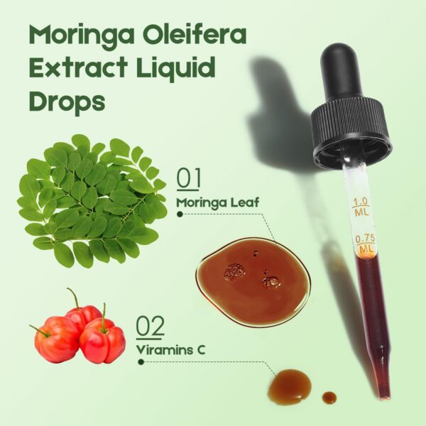Empaque exterior de MaxuraFit Moringa Drops