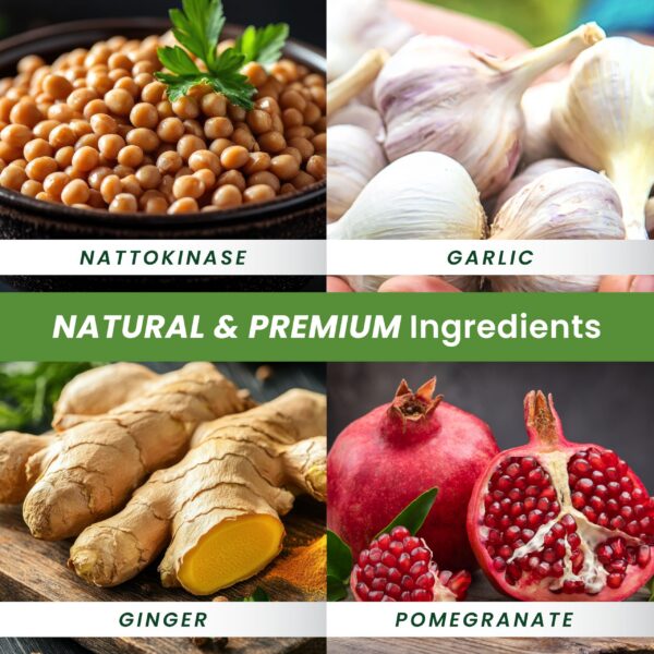 Version 1.0.0 Etiqueta de seguridad GMP