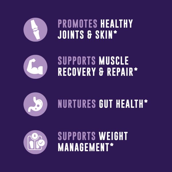 Version 1.0.0 Medida de 32 oz polvo de caldo de huesos con colágeno