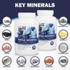 Envase de Mega Minerals YouFit