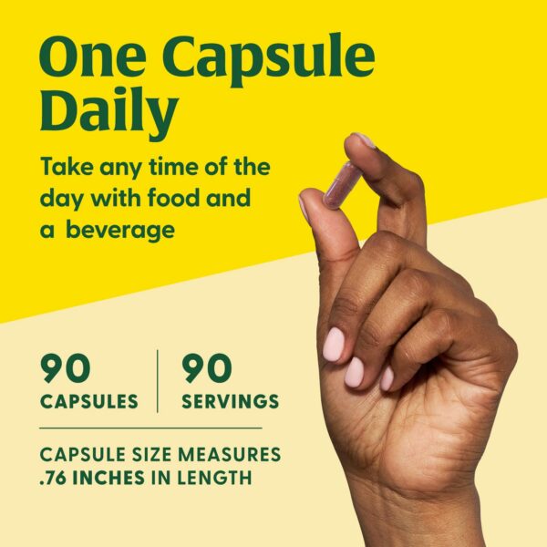 Remolacha como ingrediente en la fórmula