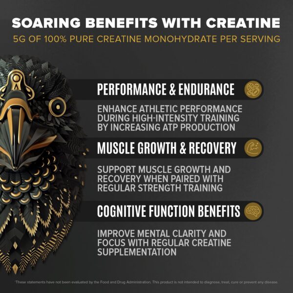 Mejora recuperación muscular con BIRDMAN Falcon