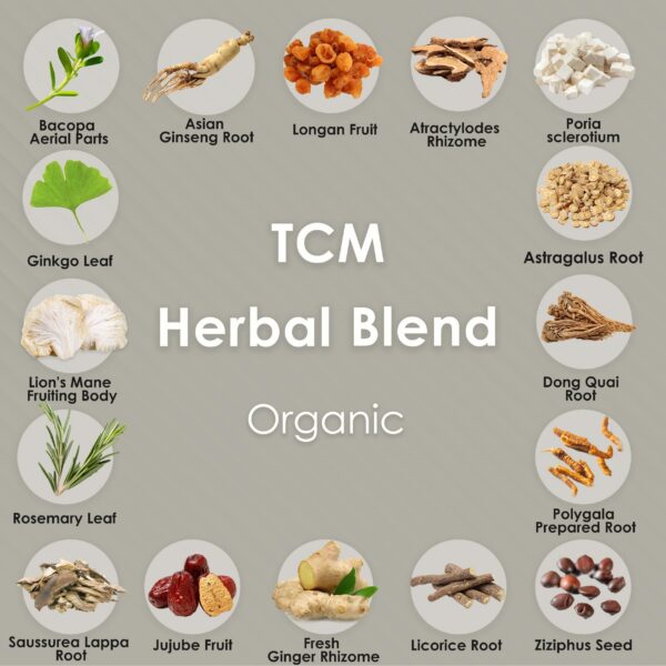 Melena de león y hierbas de la MTC para salud cognitiva