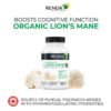 Melena de León Orgánico - Apoyo para enfoque y alivio del estrés