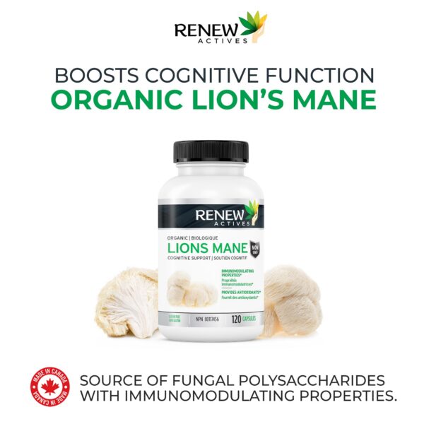 Melena de León Orgánico - Apoyo para enfoque y alivio del estrés