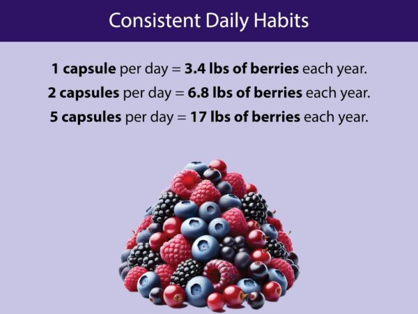 Version 1.0.0 Mezcla de bayas orgánicas KOYAH cápsulas sin gluten y sin alérgenos