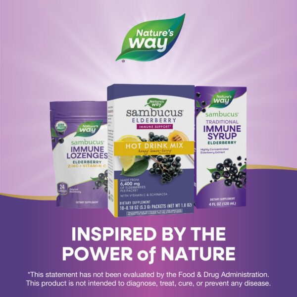 Mezcla caliente de saúco Nature's Way sobre fondo blanco