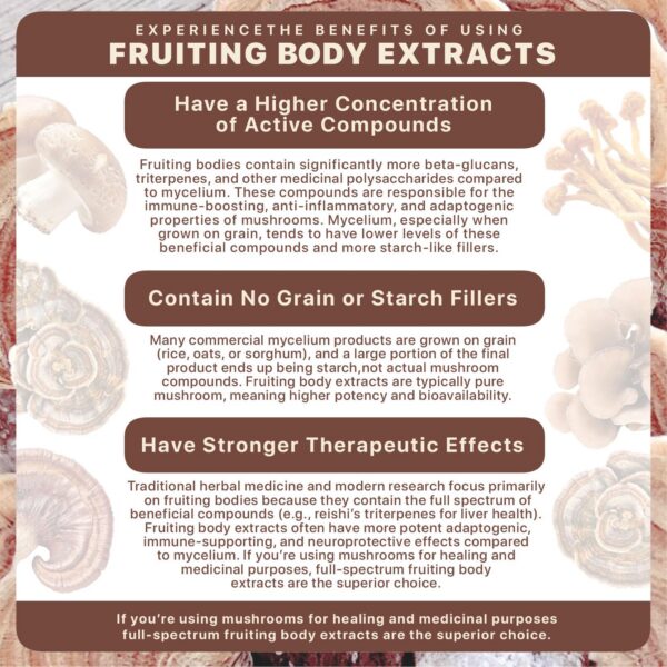 Mezcla de Hongos 8 Guardians en polvo