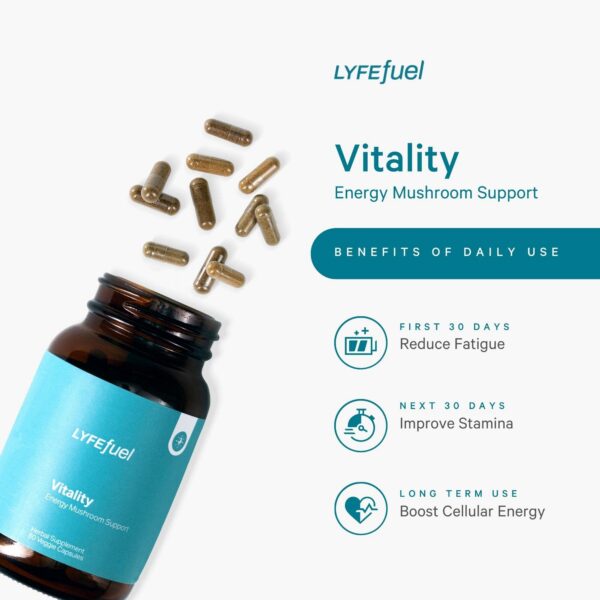 Mezcla de hongos adaptógenos LyfeFuel para vitalidad diaria