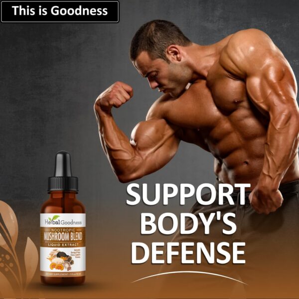 Mezcla de hongos para defensa inmunológica