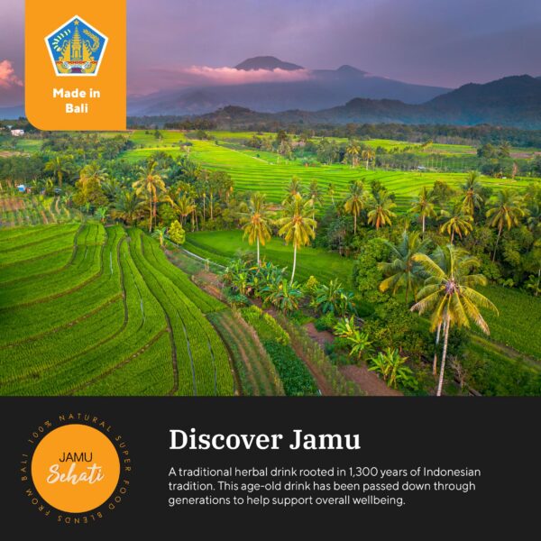 Version 1.0.0 Mezcla JAMUSEHATI dormir en Bali