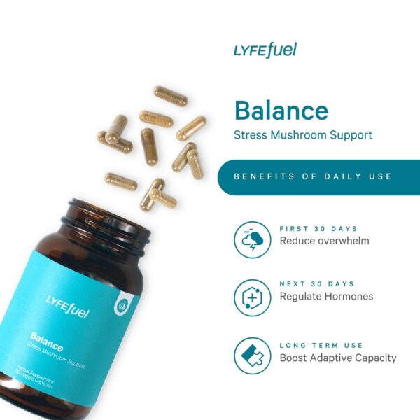 Mezcla orgánica con melena de león, reishi y ashwagandha