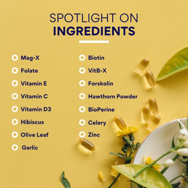 Version 1.0.0 Mezcla patentada VitB X y Mag-X en Blood Booster