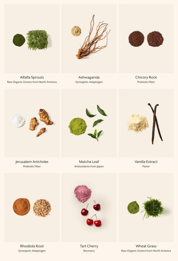 Mezcla superfood 30 porciones ProMix Nutrition