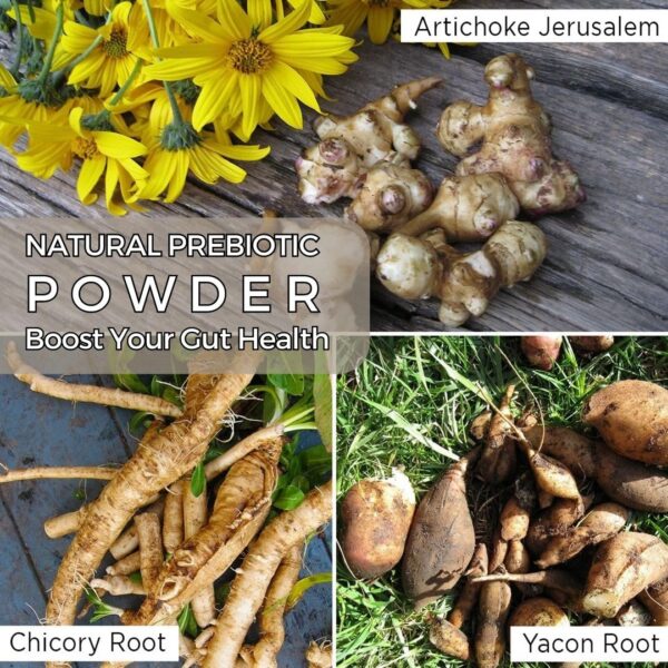 Mezcla vegetal de inulina y FOS prebióticos AKI 170 gramos