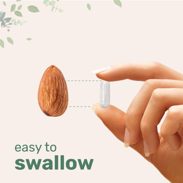 Version 1.0.0 Frasco frontal con etiqueta completa