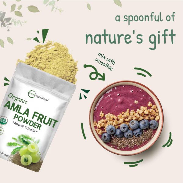 Micro Ingredients polvo amla para smoothie y bebida saludable