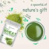 Micro Ingredients polvo de hierba de trigo orgánico en uso
