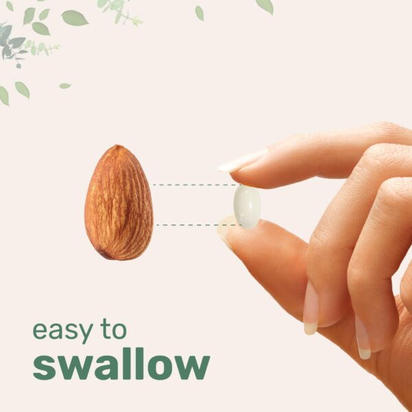 Etiquetas sin OGM y sin soja