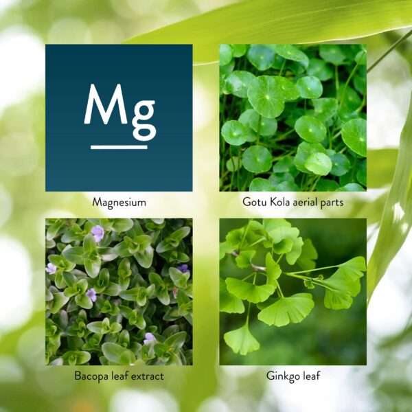 Fragancia y etiqueta Mind-Max