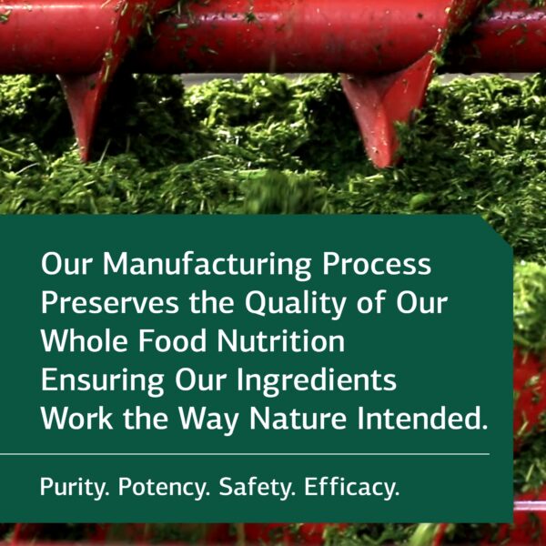 Minerales Traza-B12 para salud ósea e inmunológica