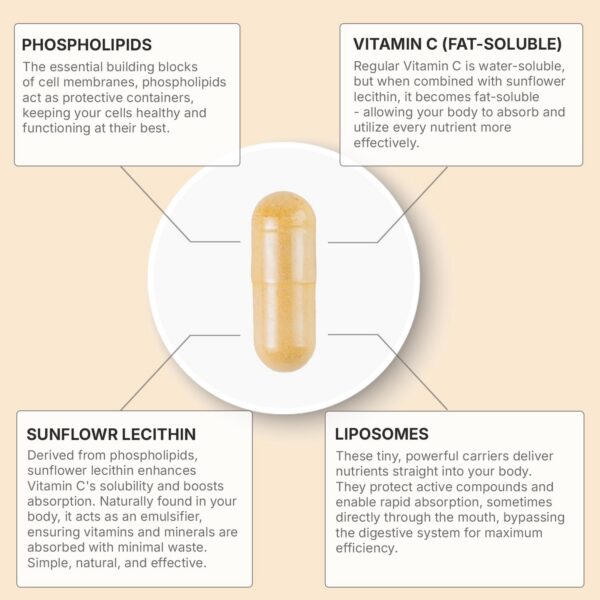 Detalle de etiqueta de ingredientes