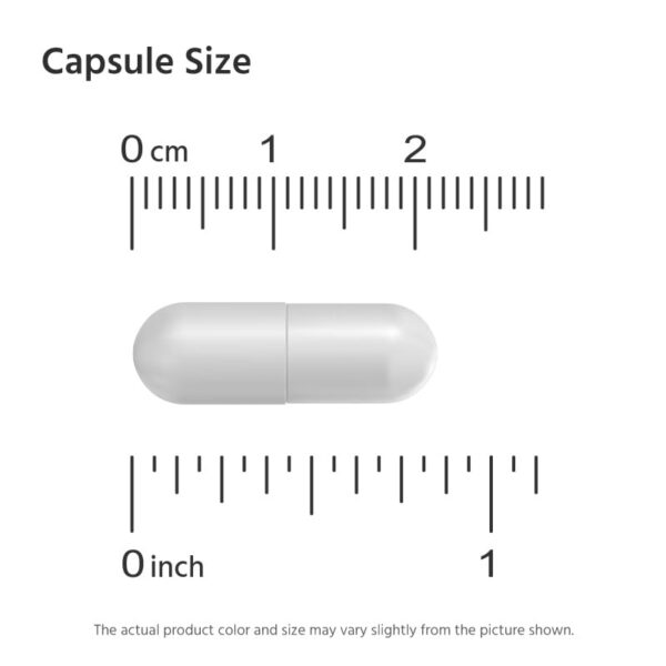 Frente de empaque y presentacion