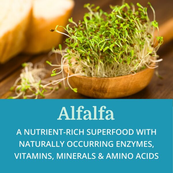 Version 1.0.0 Cápsulas de SuperDigest listas para uso