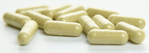 Version 1.0.0 Instrucciones de uso Mt Angel