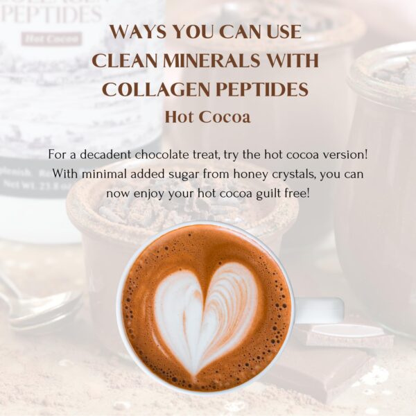 Cajita con porciones