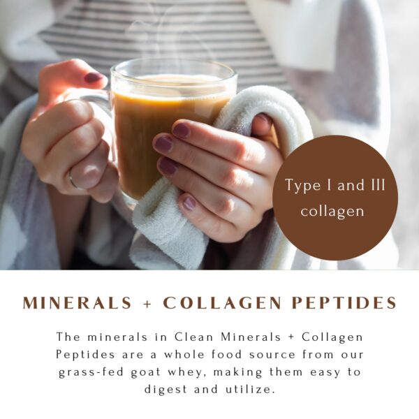 Scoops de proteína y colágeno