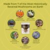 Muestra polvo hongos Sacred 7 Naturealm para suplemento diario