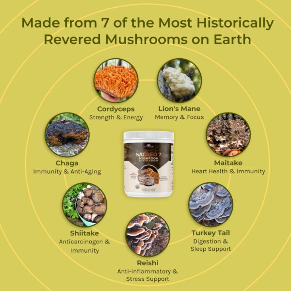 Muestra polvo hongos Sacred 7 Naturealm para suplemento diario