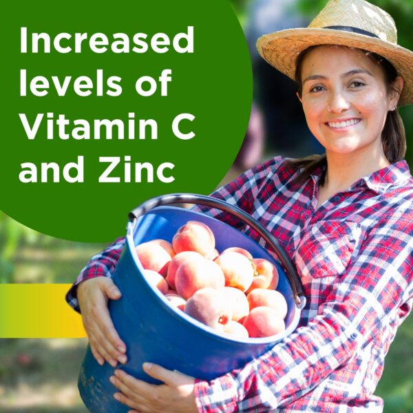 Multivitaminico Centrum para energia y soporte inmunologico adultos