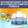 Multivitamínico para desintoxicación renal y apoyo