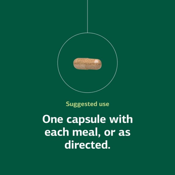 Version 1.0.0 Etiqueta lateral Multizyme