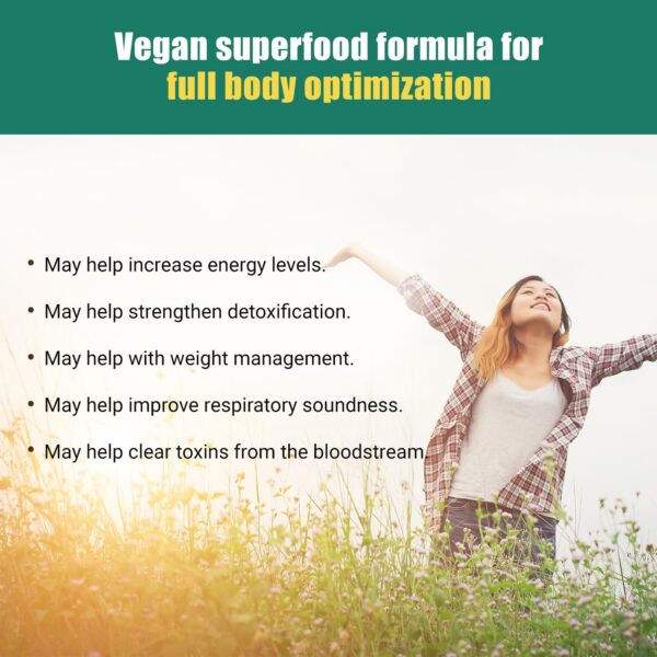 Version 1.0.0 Musgo de Mar Irlandés - 102 minerales