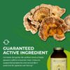 MycoForce HealthForce SuperFoods polvo para inmunidad y vitalidad