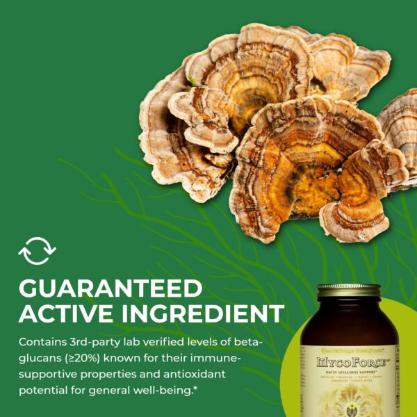 MycoForce HealthForce SuperFoods polvo para inmunidad y vitalidad