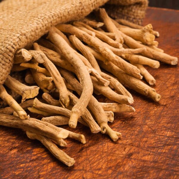 Café MYCOJAVA apoyo cognitivo y energía equilibrada con hongos