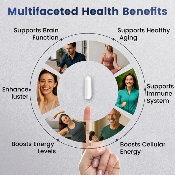 Detalle de la etiqueta de ingredientes