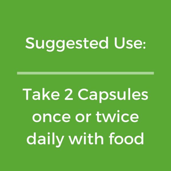 Version 1.0.0 Cápsulas Quercetina con Bromelina