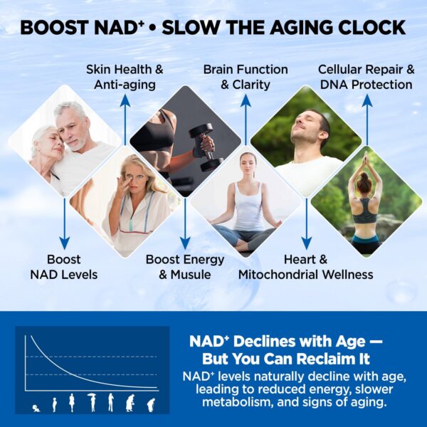 Version 1.0.0 Contenido y etiqueta del producto NAD liposomal